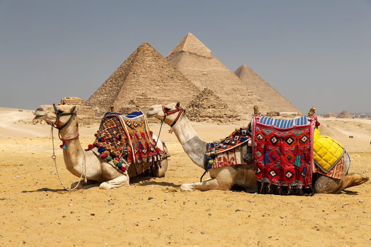 Paseo en Camello o Caballo por las Pirámides de Giza
