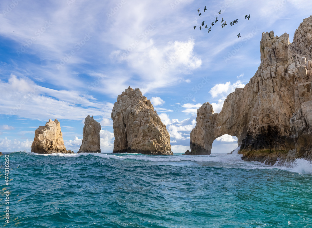 Avistamiento de Ballenas en Los Cabos