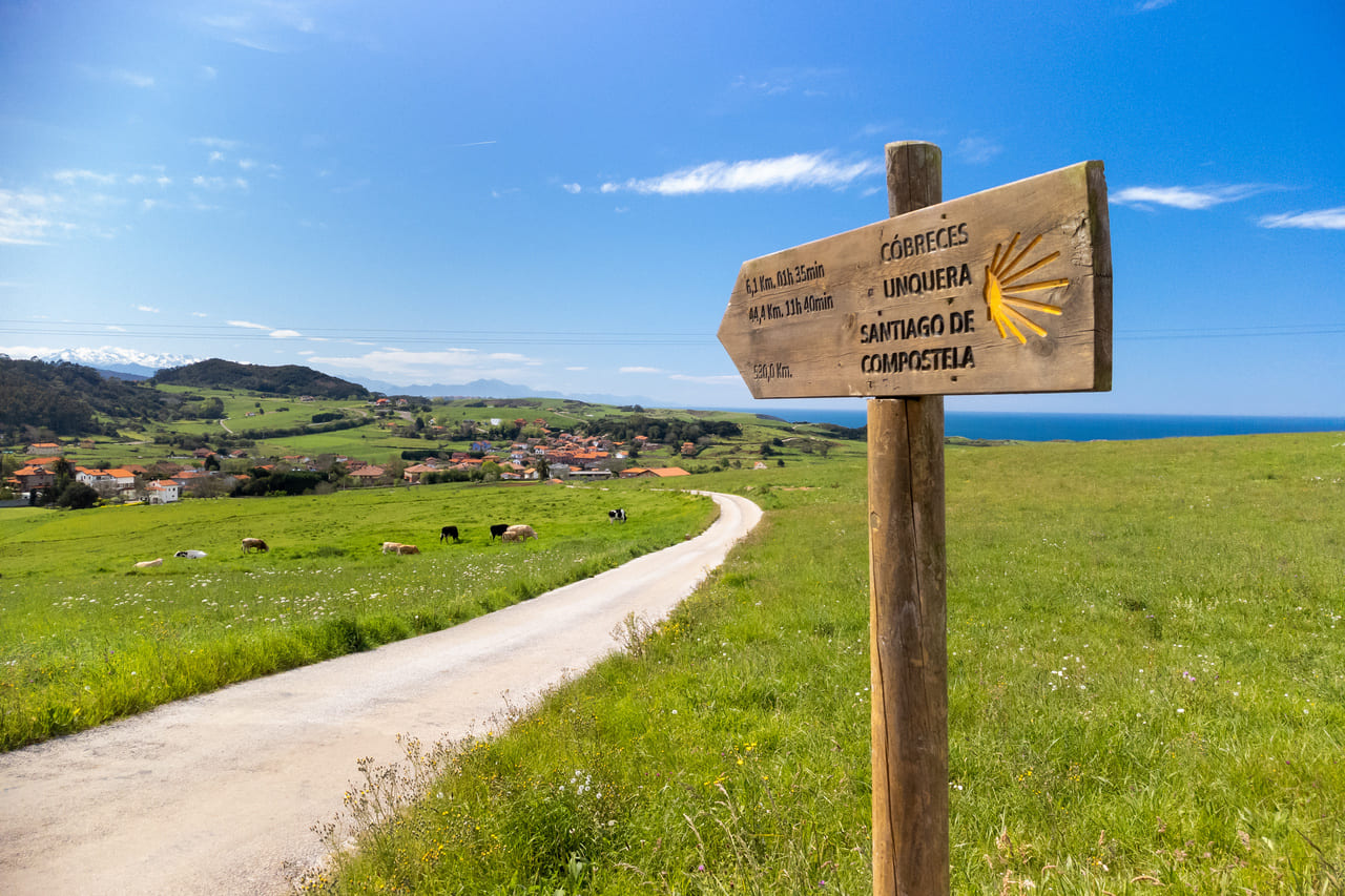 Camino Primitivo: De Lugo a Santiago