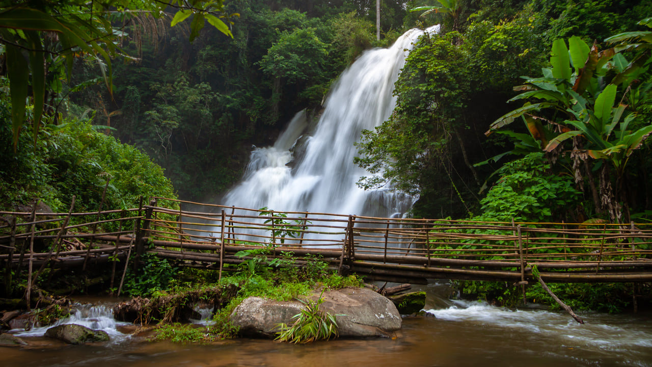 Tour santuario de elefantes, Doi Inthanon y senderismo en Chiang Mai